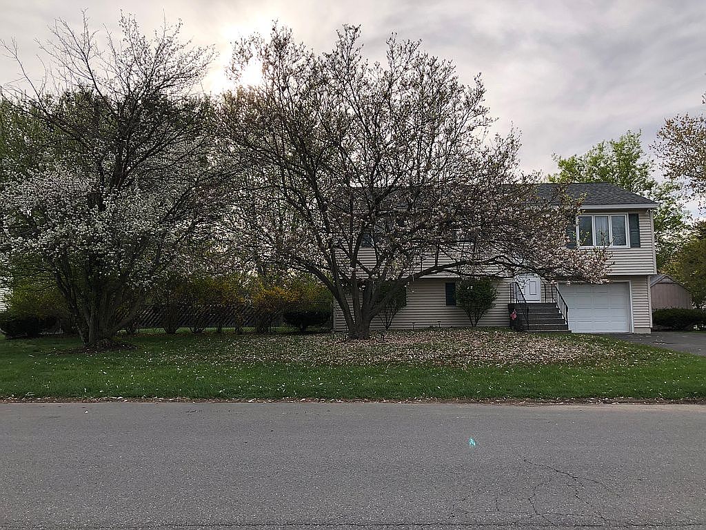 timberland walnut street