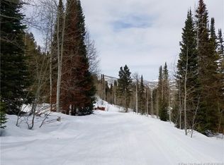 738 Shingle Mill Dr #738, Oakley, UT 84055