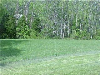 2nd image of 8132 Dowden Dr