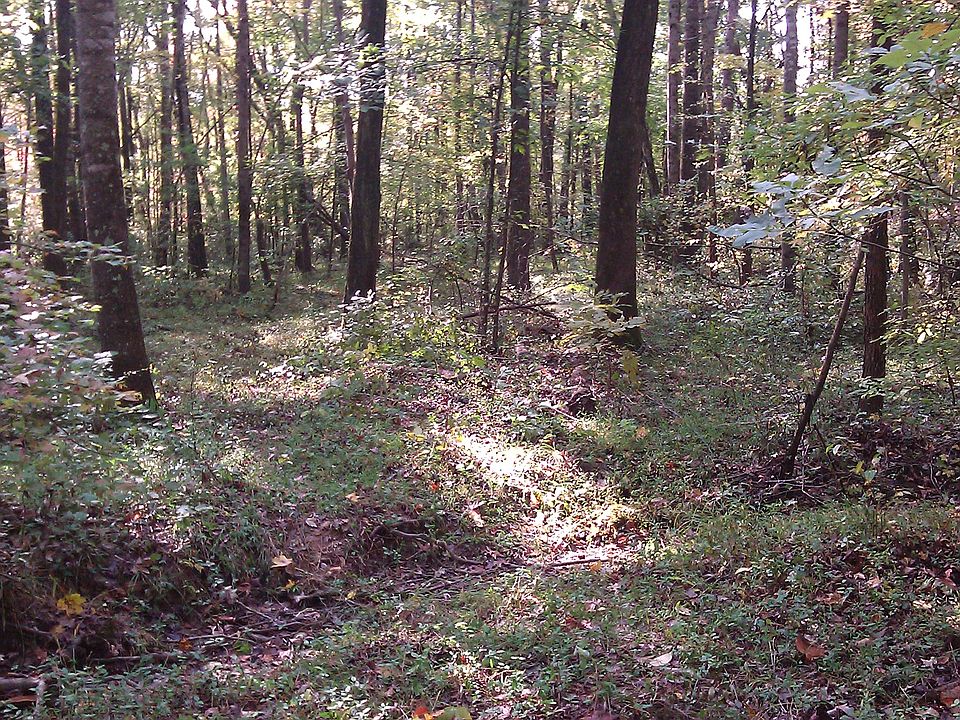 2nd image of Tan Yard Hill Rd