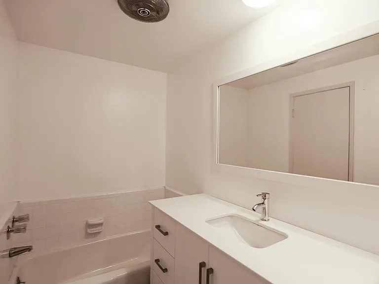 master sink #2 and separate bath