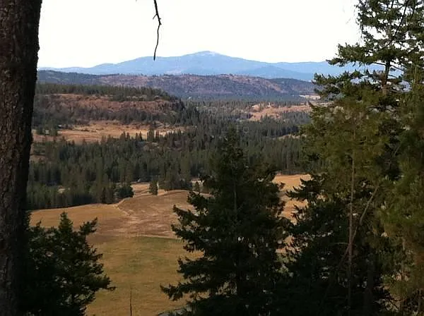 View of Mount Spokane from the 12 x 24 deck.