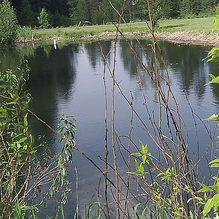 pond