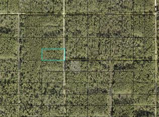 Leroy Avenue Lot #1091, Hastings, FL 32145