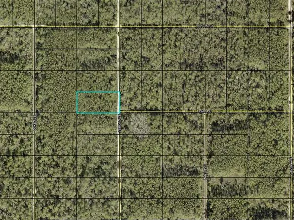 Leroy Avenue Lot #1091, Hastings, FL 32145