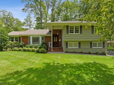 6 Clive Hills Rd, Short Hills, NJ, 07078