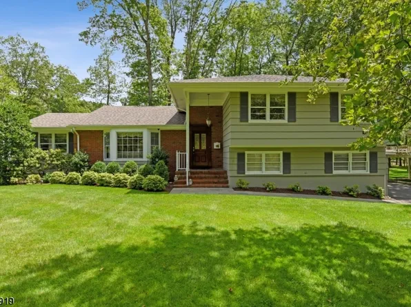 6 Clive Hills Rd, Millburn Twp., NJ 07078