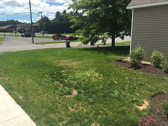 Front yard