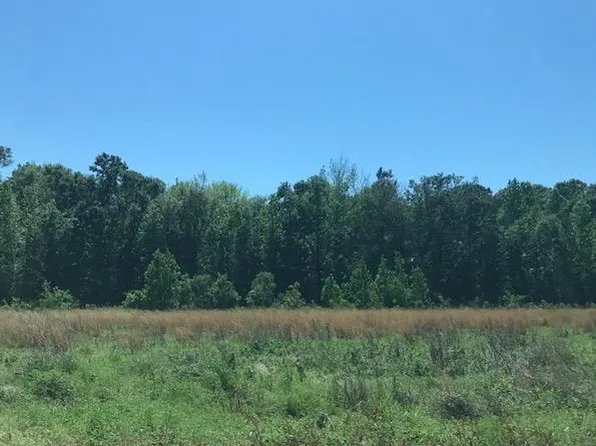 17344 Eason Crossing Rd, Boston, GA 31626