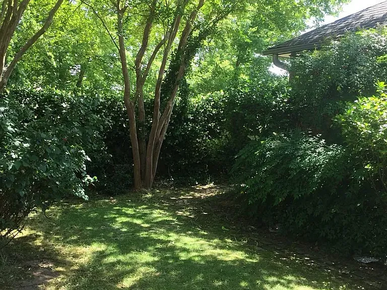 8713 Harvest Ridge Dr — Photo 7