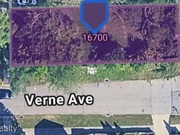 16700 Ashton Ave, Detroit, MI 48219