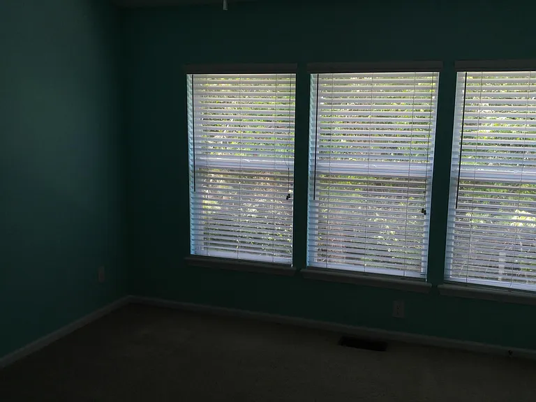 3528 Twisted Tree Ln — Photo 13