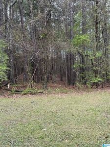 0 Bridge Creek Dr Lot 0, Ragland, AL, 35131