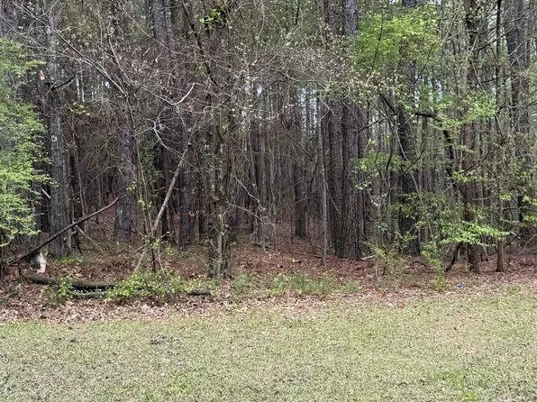 0 Bridge Creek Dr Lot 0, Ragland, AL 35131