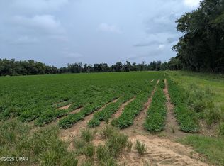 0 Highway 71, Malone, FL 32445