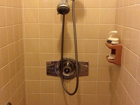 2nd Bath Shower