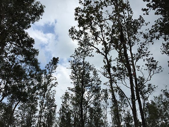 3rd image of Lot 3957 Road 5