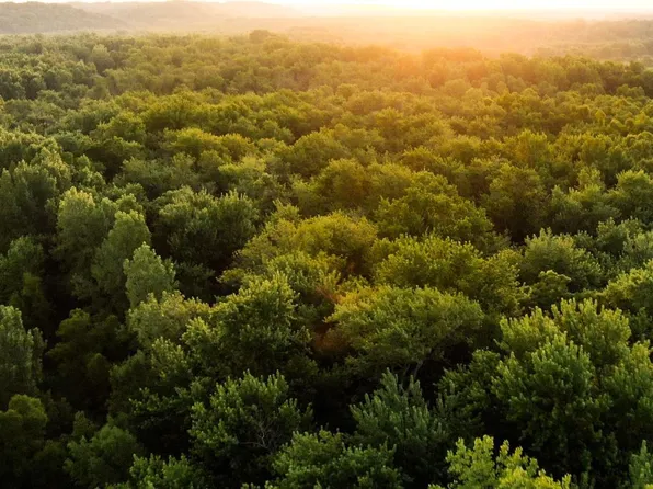 0 E State Route 100, Browning, IL 62624