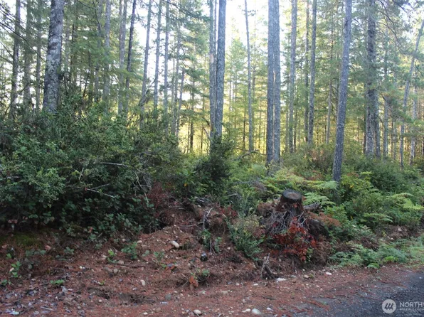 3511 NE Tahuya Blacksmith Rd, Tahuya, WA 98588