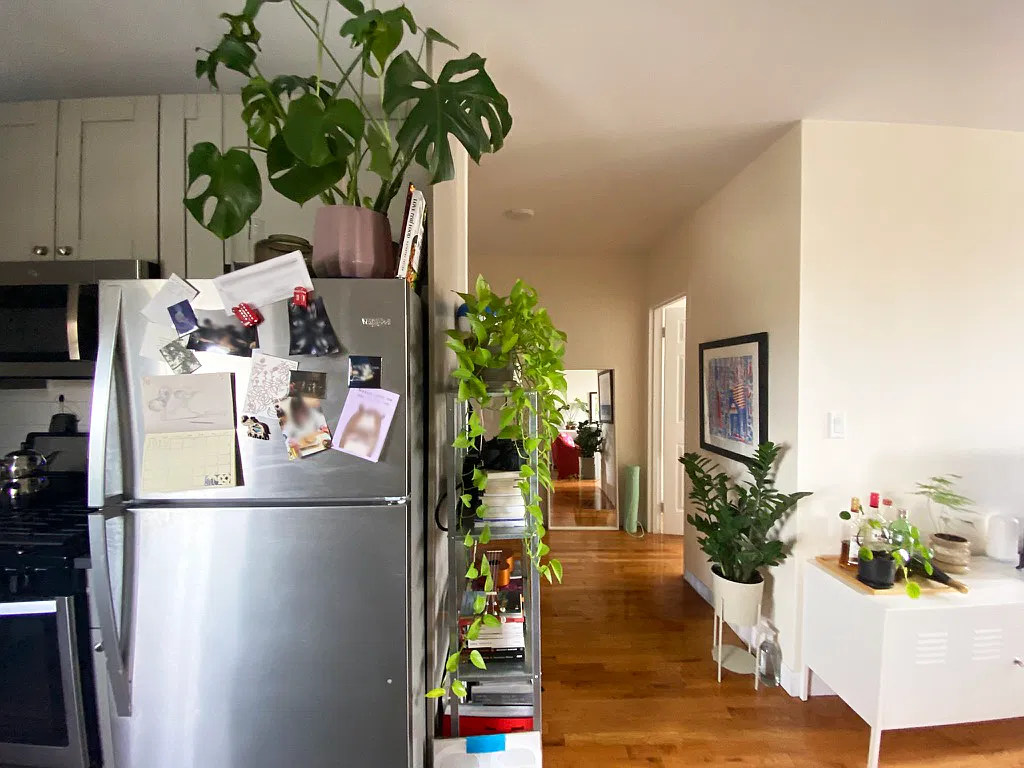 76 Rapelyea Street — Photo 4