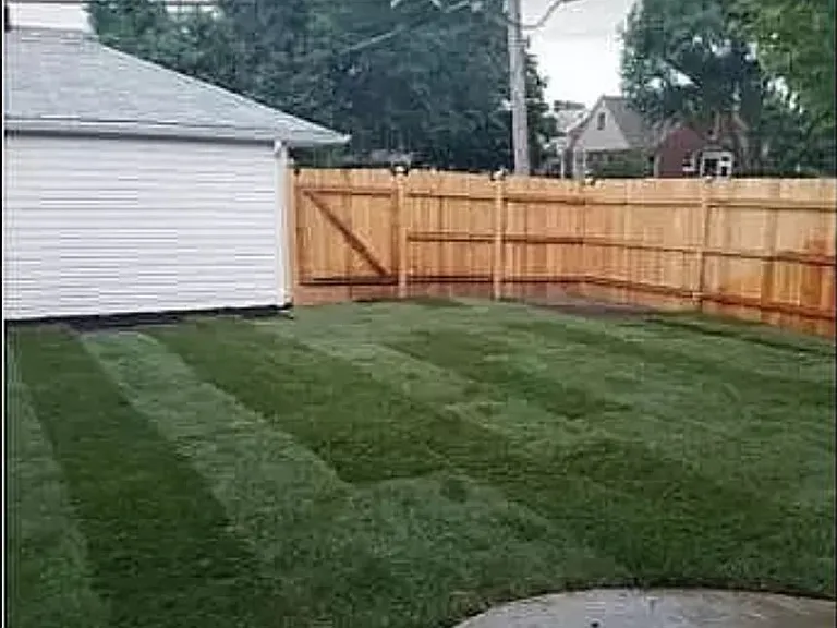 Yard View