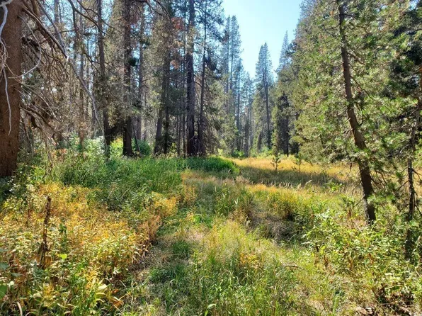 50991 Conifer Dr, Soda Springs, CA 95728