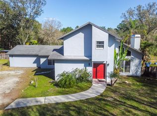 19625 Pine Tree Rd, Odessa, FL 33556
