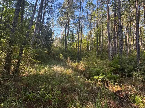 0 S Blakeley Oaks Dr Lot 13, Daphne, AL 36527