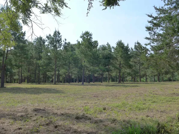 Tbd Finch Rd, Gilmer, TX 75645