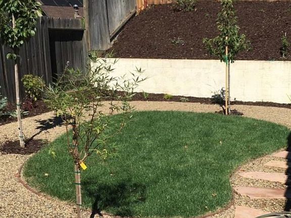 Low water landscaping