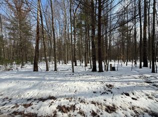 6804 Maple Ct, Stanwood, MI