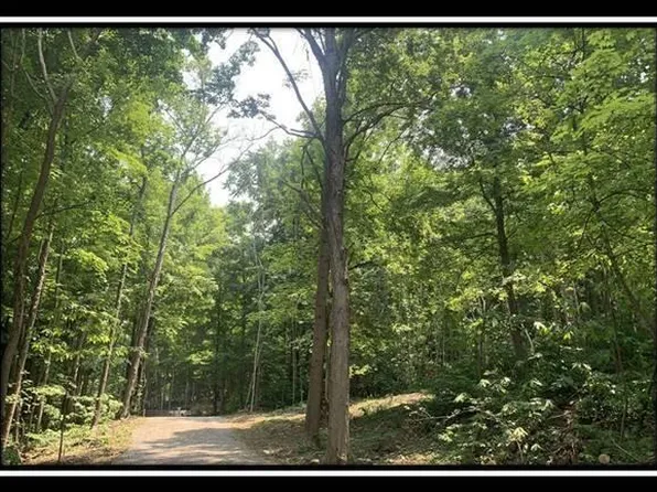 0 Potts Hill Rd Tract 2, Bainbridge, OH 45612