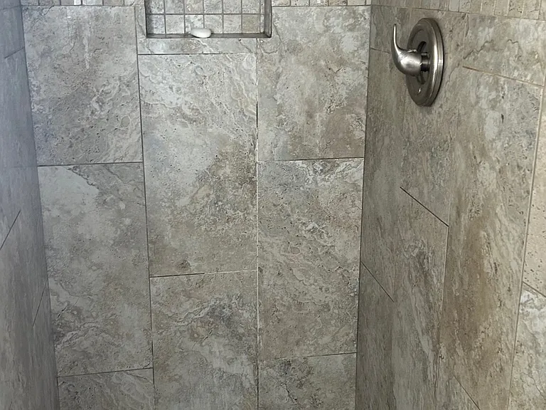 Primary Shower view