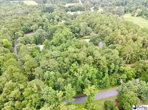 1419 Marion Green Rd, Florence, SC 29506