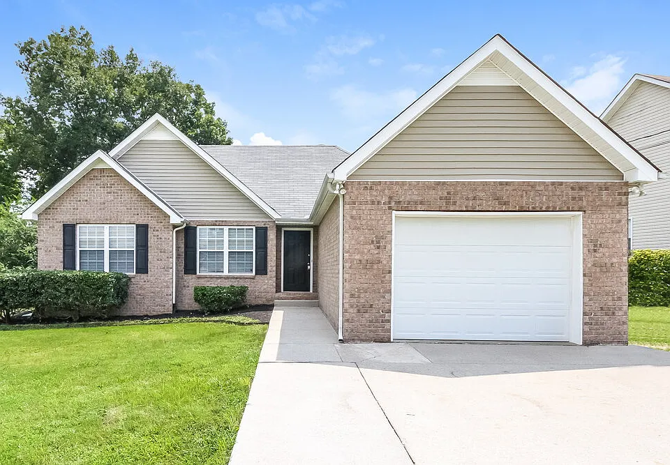 597 Butternut Trce