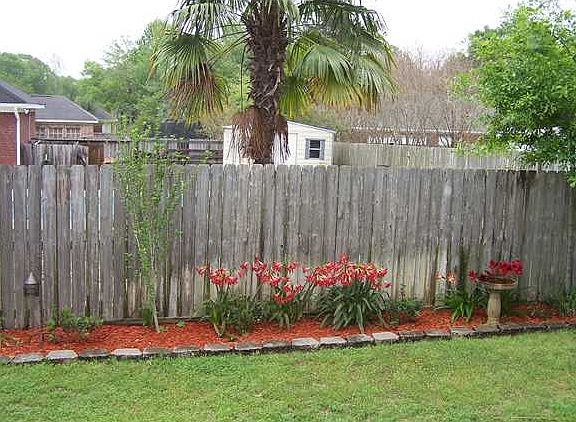 beautiful landscaping