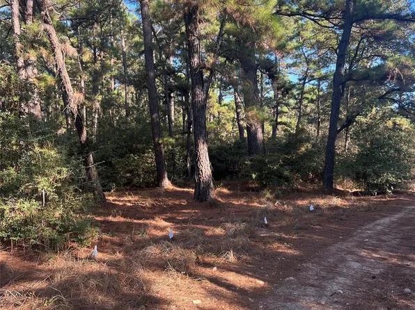 Pine Lodge Dr, Bastrop, TX 78602