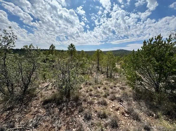 40 Eldrado Dr #40, Timberon, NM 88350