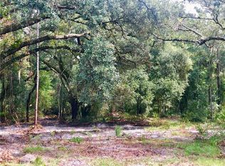 Saffron Ave, Eustis, FL 32736