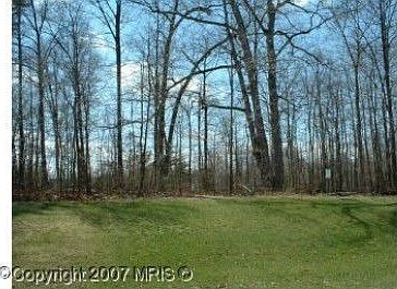 Backs to Trees