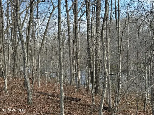 0 Crystal Point Lot 42, Monterey, TN 38574