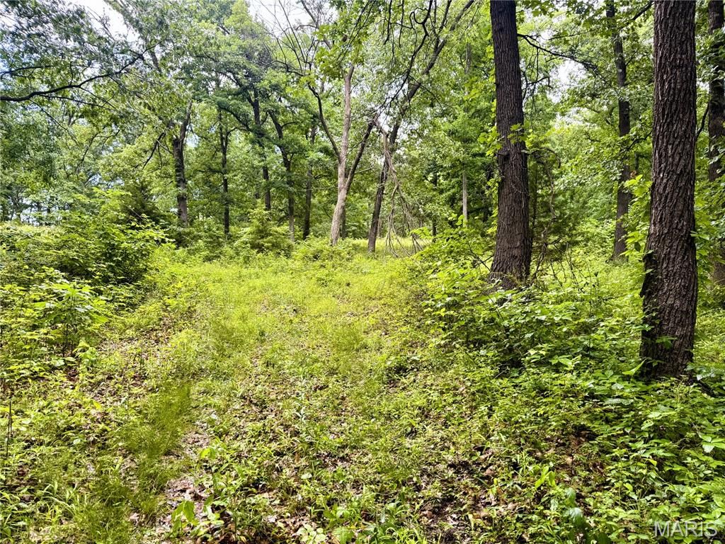 13628 Thornberry Rd, New London, MO - More