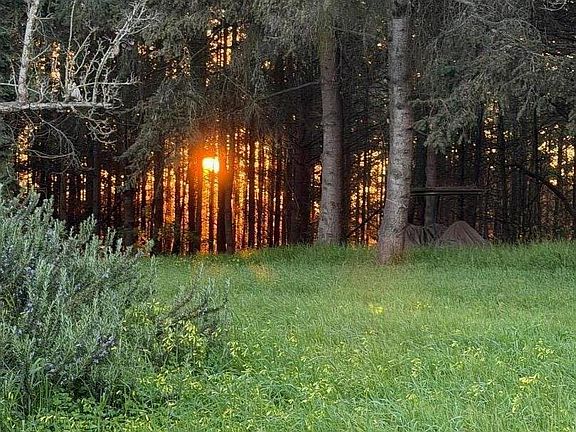 5th image of 71 Hawk Haven Rd