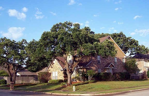 4th image of 1312 Woodlake Dr