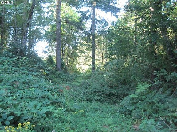 4th image of 0 NE 372nd St