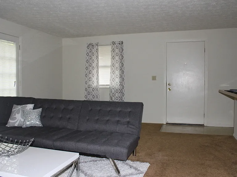 8172 Mount Snow Dr — Photo 6