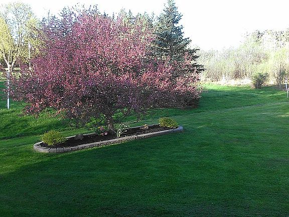 4th image of 56 Hessland Ct