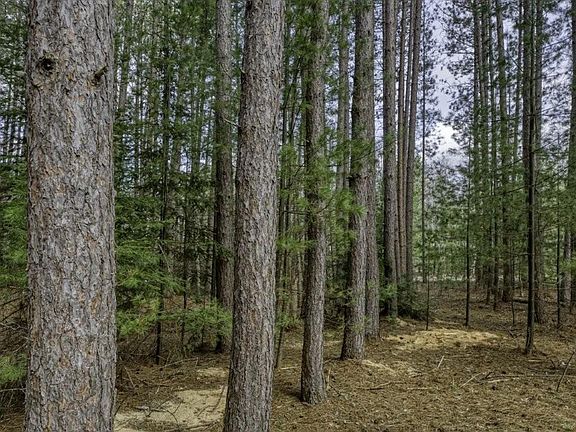 3rd image of LOT 2 Curtis Lake Dr