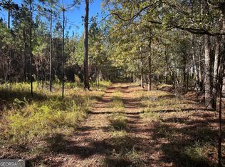 0 Buck Creek Rd, Sylvania, GA 30467