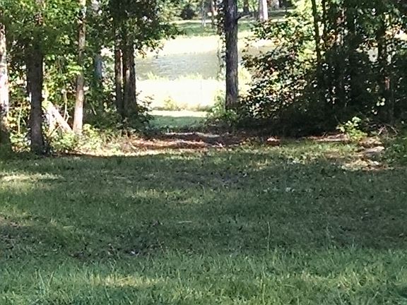4th image of 5 Acres In Hawkinsville-pulaski Co.